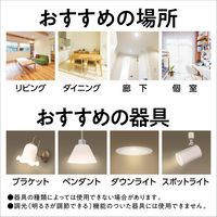 LED電球 E17 パナソニック ミニクリプトン パルック プレミア 40W形 電球色 広配光 LDA5LGE17DSK4 1個