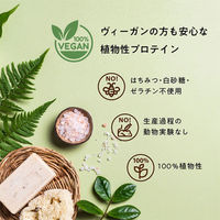 ACROVE ａｎｏｍａ　プロテイン　ヴィーガン　乳糖不耐対応　ほうじ茶　６００ｇ ANOMA-HOJICHA-600-N 1袋（直送品）