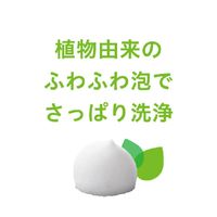 無添加せっけん さっぱり 1セット（100g×3×6パック） ペリカン石鹸