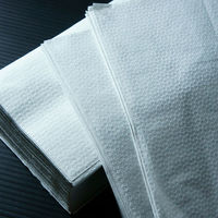 小野商事 ペーパータオル 中判(レギュラーサイズ) 200枚入 WS6480 1パック