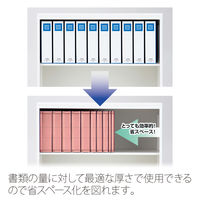 プラス セノバスエコノミー樹脂とじ具A5E PK FL-042SE 1冊（直送品）