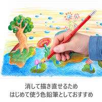 ステッドラー ノリスクラブ 消せる色鉛筆 5セット（24色×5） 144 50NC24