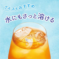 meito カフェスタ 林檎（リンゴ）ジンジャーアールグレイ 5パック（10本入×5）インスタント紅茶