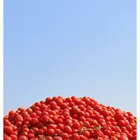 アルチェネロ アルチェネロ有機カットトマトソース 500g 5個