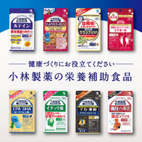ビタミンB群  約60日分(120粒入り)【小林製薬の栄養補助食品】　1セット（1袋×5）　サプリメント