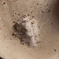 Dolce Vita 黒トリュフソルト 25g トリュフ塩　5個