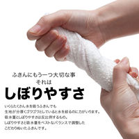 GuttoGood やわらか食器ふきん 綿100% 約33×35cm ホワイト K68400 1セット（1パック（2枚入）×5）サンベルム