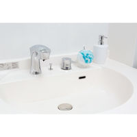 洗面台用スポンジ バスボンくん 洗面台スッキリポンポン抗菌ケース付 ブルー 5個 幅約90×高さ約100×奥行約90mm 山崎産業