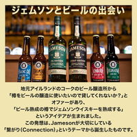 ジェムソン スタウトエディション カスクメイツ アイリッシュウイスキー ウィスキー ビール樽 ギフト 700ml 1本 ペルノ・リカール