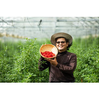 おきなわの有機南部島唐辛子（赤）粗挽き 1個 島酒家 赤唐辛子