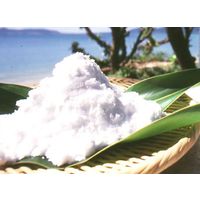 石垣の塩 500g 1個 沖縄 海塩