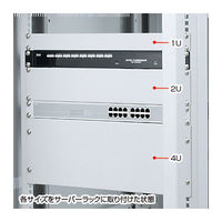 サンワサプライ ブランクパネル（1U） CP-SVBP1UBKN 1台（直送品）