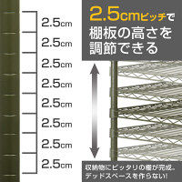 ルミナス ポール径25mm セット品 インテリアカラーワードローブ 2段仕様 ブルー 幅910×奥行460×高さ2157mm IC9021-3BL（直送品）