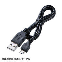 サンワサプライ レーザーポインター LP-GL1008BK 緑色レーザー 充電式 連続使用70分（直送品）