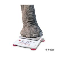 オーハウス ポータブル電子天秤 φ120mm 420g SPX422JP 1個 1-9070-23（直送品）