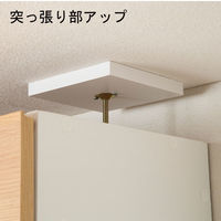 白井産業 リビュアル 壁面収納キャビネット 天井突っ張り ダークブラウン 幅400×奥行313×高さ2380～2480mm 1台（直送品）