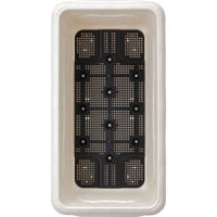 アップルウェアー クイーンワイド 600型 4905980113510 1個（直送品）