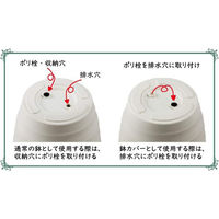 アップルウェアー アトリエ ポット 37型 4905980114616 1個