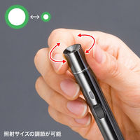サンワサプライ 照射径可変グリーンレーザーポインター LP-GL1019BK 1個（直送品）