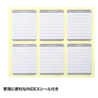 サンワサプライ メモリーカードクリアケース(SDカード用・6個セット) FC-MMC10SDN 1個（直送品）