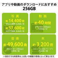 マイクロSDカード microSDXC 256GB Class10 UHS-I MF-SP256GU11A2R エレコム 1個（直送品）