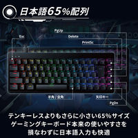 ゲーミングキーボード 有線 着脱式ケーブル RGB メカニカル (銀軸/スピードリニア) TK-VK300SBK エレコム 1個（直送品）