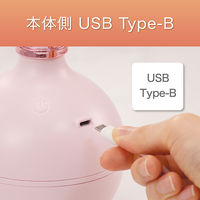 小泉成器 超音波加湿器 4981747074645 1台