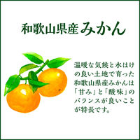 伊藤園 みかんゼリー 和歌山県産 280g ニッポンエール 1箱（24本入）
