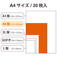 プリンター用紙 写真用紙 A4 20枚 光沢 高グレード 厚手 写真プリント用紙 ホワイト EJK-HQA420 エレコム 1個