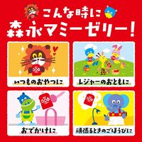 【アウトレット】森永 わんぱくキッズ マミーゼリー 125g 1セット（6個）