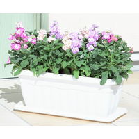 アップルウェアークイーンプレート 450型 ホワイト 437×190mm プランター用受皿