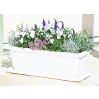 アップルウェアークイーンプレート 550型 ホワイト 540×215mm プランター用受皿