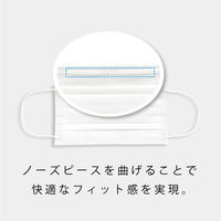 ヴァイアブロック不織布使用サージカルマスク　1セット（250枚：50枚入×5）日本製