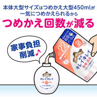 キレイキレイ　薬用泡ハンドソープ　フルーツミックスの香り　詰替え450mL　5個　【泡ハンドソープ】　ライオン