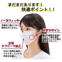 アイリスオーヤマ プリーツマスク ふつう PN-NV65L 1セット（325枚：65枚入×5）