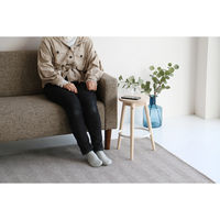 ICHIBA リム ロースツール ナチュラル ILS-3644NA 1脚（直送品）