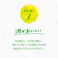 伊藤園 強炭酸水 ビタミンストロング 500ml 1箱（24本入）