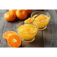 フジッコ [冷蔵]フジッコ フルーツセラピー 人気3種X各1個 計3個セット（バレンシアオレンジ・グレープフルーツ・ホワイトピーチ）（直送品）