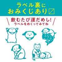 【機能性表示食品】サントリー　伊右衛門　澄みきるブレンド茶　600ml 1セット（48本）