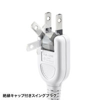 延長コード 電源タップ 2m 2P（ピン） 10個口 マグネット ホワイト TAP-2210-2W サンワサプライ 1個（直送品）