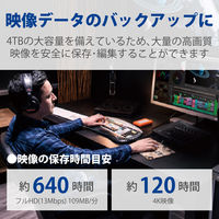 HDD 外付け 4TB d2 Professional STHA4000800 LaCie 1個