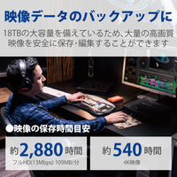 HDD 外付け 18TB d2 Professional STHA18000800 LaCie 1個