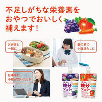 【アウトレット】【栄養機能食品】おいしい栄養補給 1日分の鉄分ジュレ アップル＆キャロット 1セット（1個×12） 森永乳業