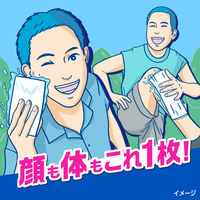 メンズビオレ 顔もふけるボディシート 肌ケアタイプ マイルドフローラルの香り 1個(28枚入） 花王