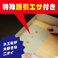 アース製薬 アースガーデン ネズミ専用立入禁止 エサ付き粘着シート 1箱（10セット入） 922300