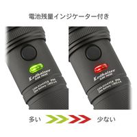 オーム電機 LED高機能ライト KS441PZ 08-1042 1個
