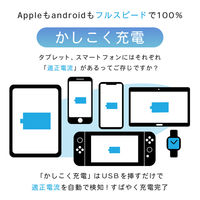 MOTTERU 防災・アウトドアに最適 USBソーラーパネル USB-A 2ポート合計20W出力 MOT-SOLAR24 1個