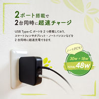 オウルテック PD30W & PD18W対応 2ポートUSB AC充電器ブラック OWL-APD48C2-BK 1個（直送品）