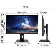 ジャパンネクスト 27インチ ワイド ディスプレイ JN-27IPS4FLUHDR-C65W-HSP 1個（直送品）