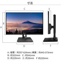 ジャパンネクスト 23.8インチ ワイド ディスプレイ JN-IPS2380FLWQHD-HSP 1個（直送品）